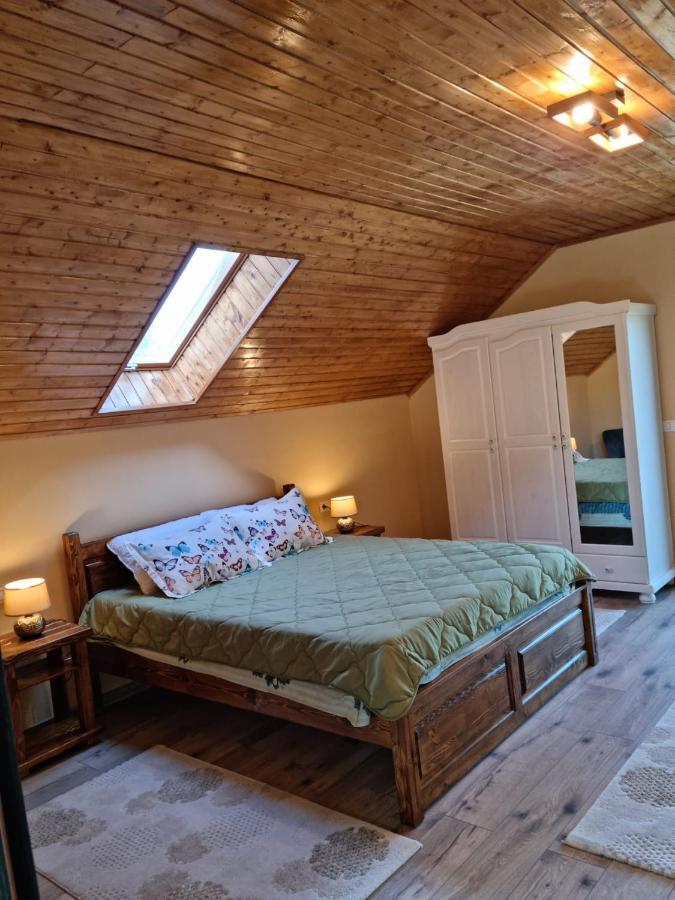 Vila Lac Holiday home *